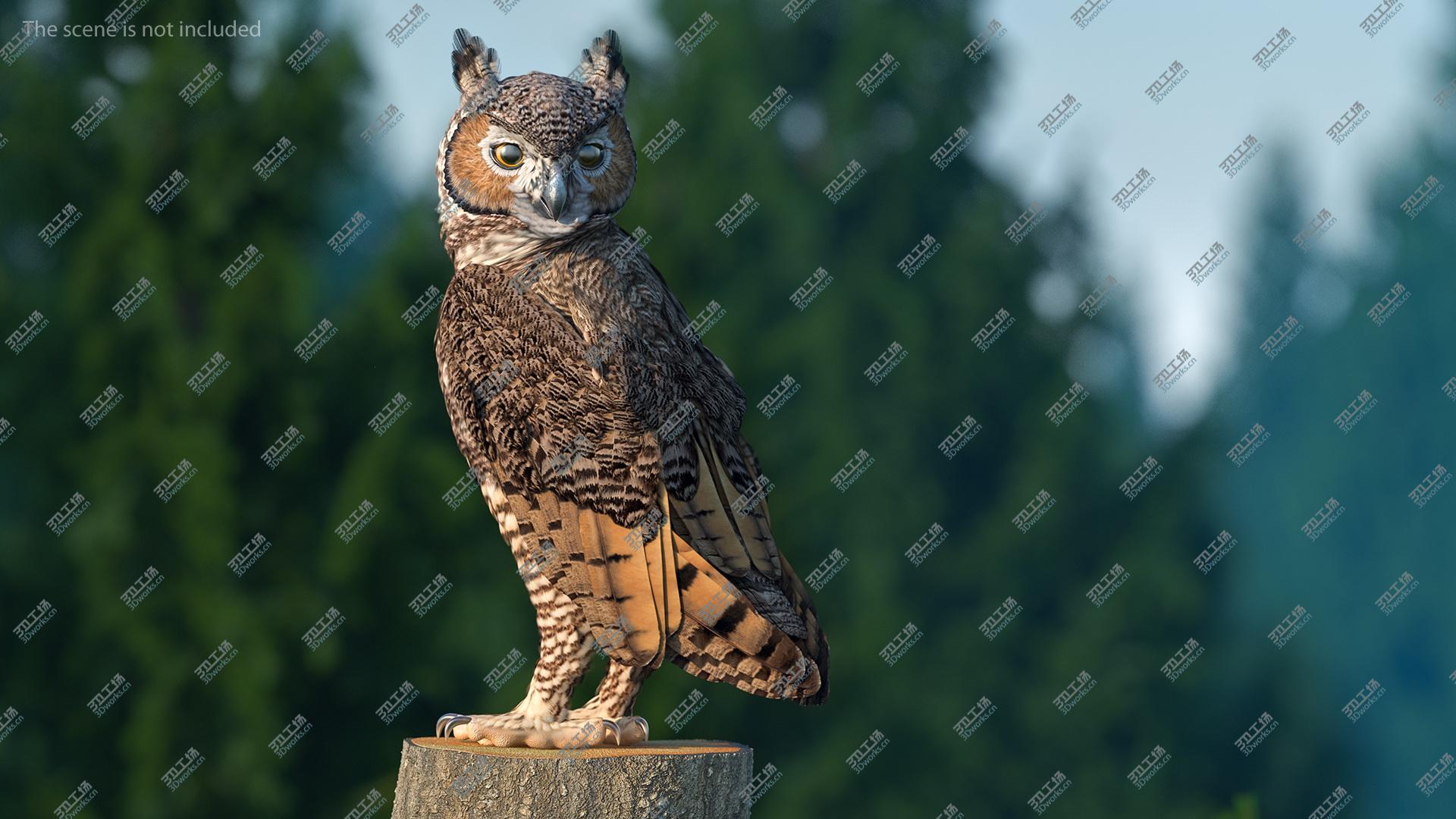 images/goods_img/202104021/3D model Great Horned Owl Standing Pose/4.jpg